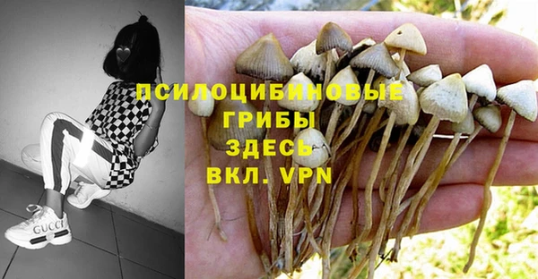 таблы Липки