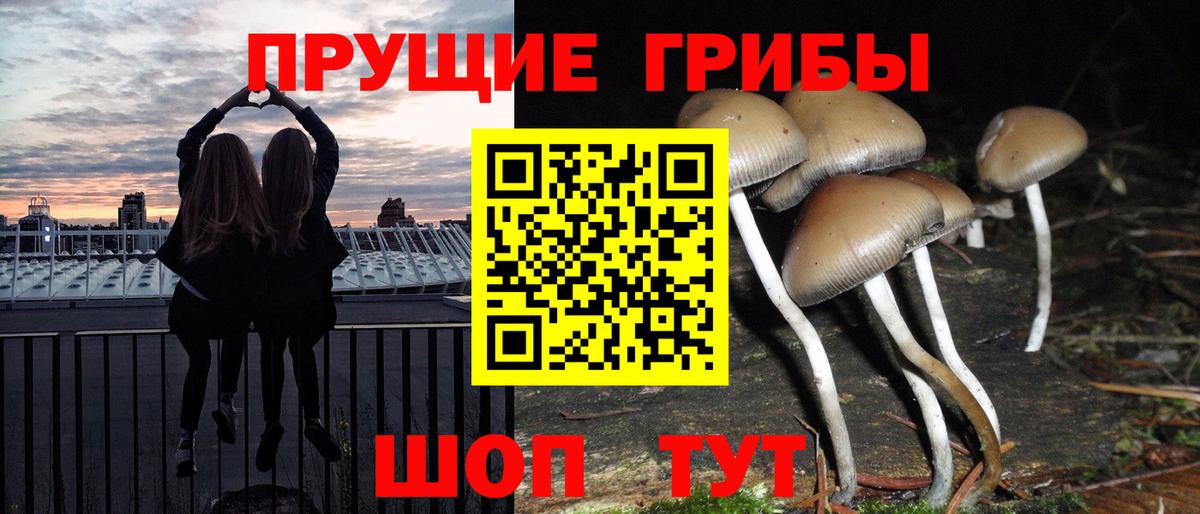 где купить   Вход с VPN  Минеральные Воды  Галлюциногенные грибы мицелий 